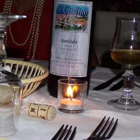 Hotel Villaggio Il Carlino 3*